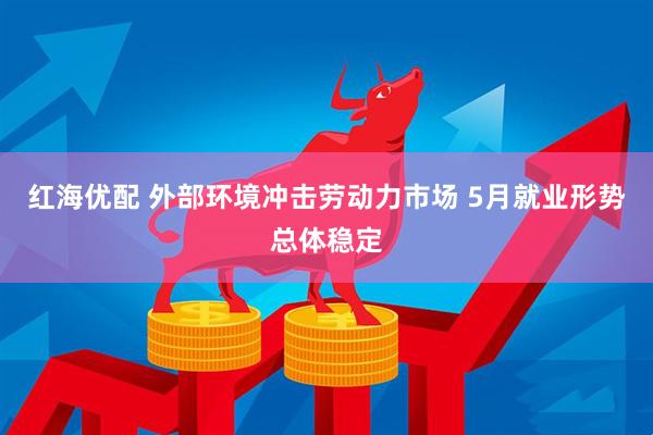 红海优配 外部环境冲击劳动力市场 5月就业形势总体稳定