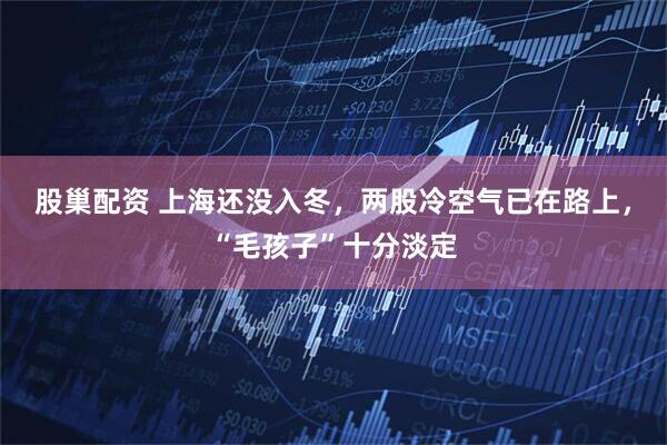 股巢配资 上海还没入冬，两股冷空气已在路上，“毛孩子”十分淡定