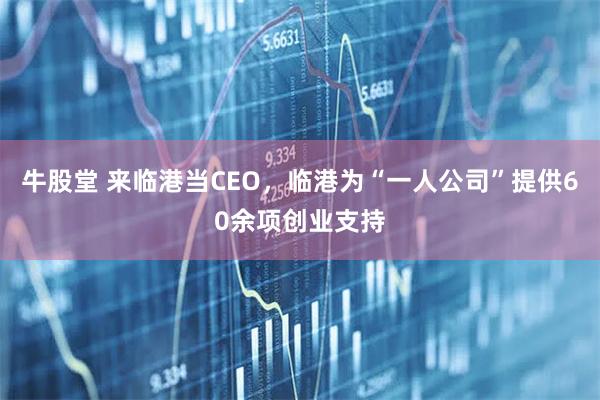 牛股堂 来临港当CEO，临港为“一人公司”提供60余项创业支持