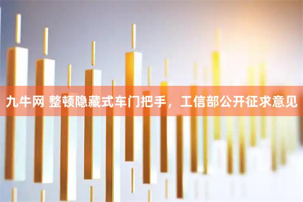 九牛网 整顿隐藏式车门把手，工信部公开征求意见