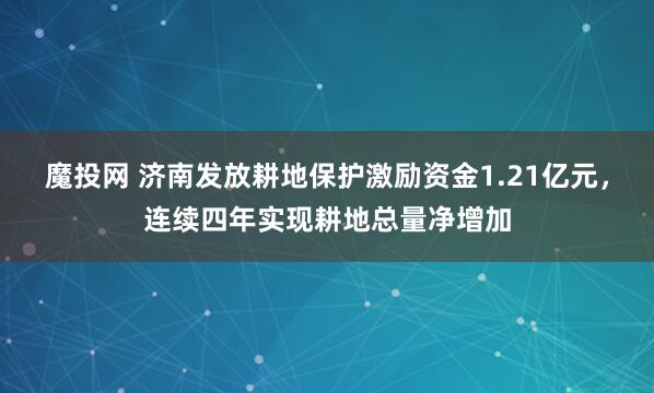 魔投网 济南发放耕地保护激励资金1.21亿元，连续四年实现耕地总量净增加